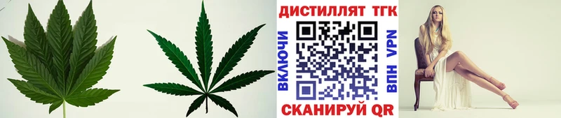 где продают наркотики  Спасск-Дальний  Дистиллят ТГК THC oil 