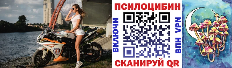 Галлюциногенные грибы Cubensis  купить наркотики сайты  Спасск-Дальний 